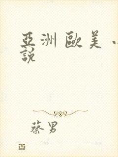 亚洲 欧美 小说封面