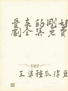 爱来的刚好电视剧全集免费观看完整版