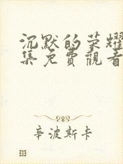 沉默的荣耀33集免费观看全集封面