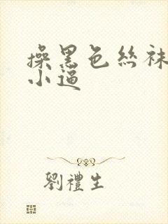 操黑色丝袜欧美小逼