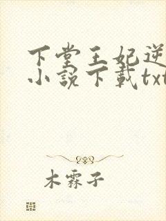 下堂王妃逆袭记小说下载txt封面