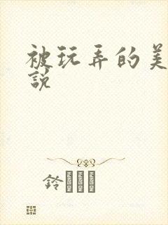 被玩弄的美人小说封面