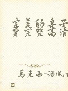 完美的妻子4免费完整高清电视剧在线看