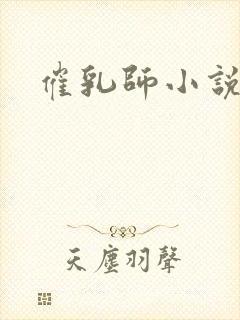 催乳师小说