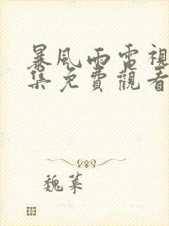 暴风雨电视剧全集免费观看