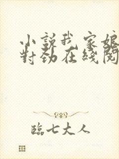 小说我家娘子不对劲在线阅读