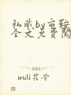 私藏by市鞍马全文免费阅读笔趣阁