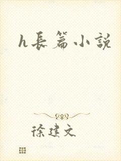h长篇小说封面