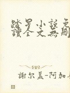 踏星小说免费阅读全文无删减