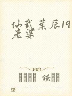 仙武叶辰19位老婆