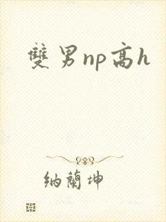 双男np高h