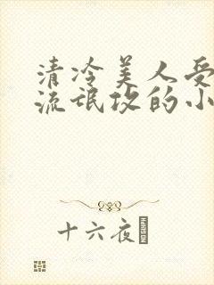 清冷美人受痞帅流氓攻的小说封面