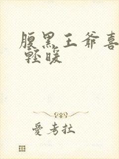 腹黑王爷喜当爹 轻暖