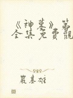 《神墓》第四季全集免费观看