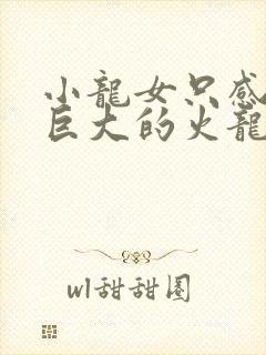 小龙女只感觉那巨大的火龙枪