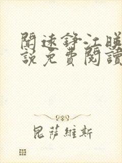 闻远铮江映秋小说免费阅读最新章节