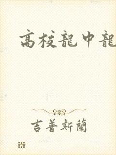 高校龙中龙