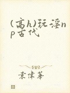 (高h)玩淫np古代
