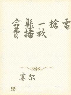 命悬一枪电影免费播放封面