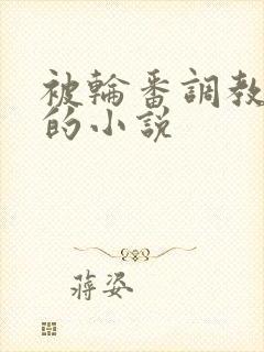 被轮番调教高潮的小说