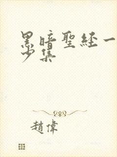 黑暗圣经一共多少集