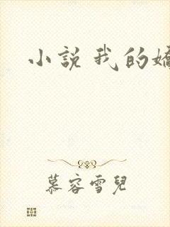 小说 我的娇妻