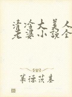 清冷大美人是我老婆小说全文阅读封面