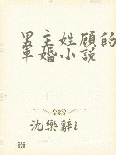 男主姓顾的所有军婚小说