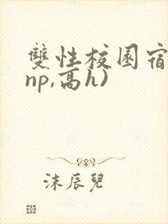 双性校园宿舍(np,高h)