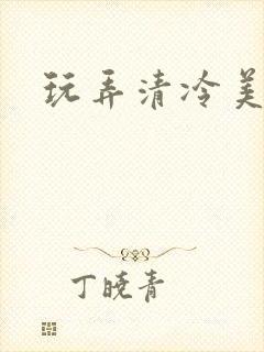 玩弄清冷美人封面