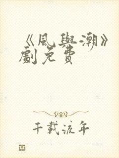 《风与潮》电视剧免费