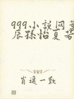 999小说网叶辰孙怡夏若雪