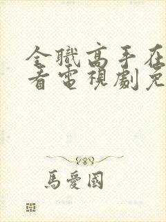 全职高手在线观看电视剧免费封面