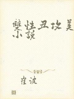 双性丑攻美人受小说