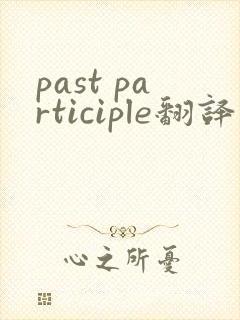 past participle翻译中文