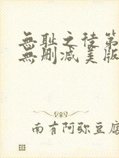 无耻之徒第九季无删减美版封面