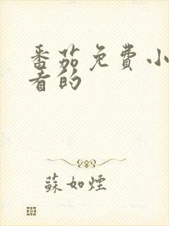 番茄免费小说好看的