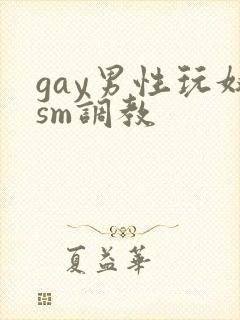 gay男性玩奴sm调教