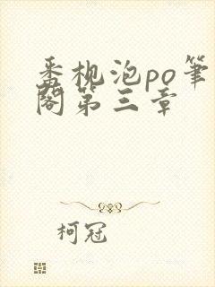 番枧泡po笔趣阁第三章
