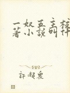 一奴五主校花原著小说叫什么封面