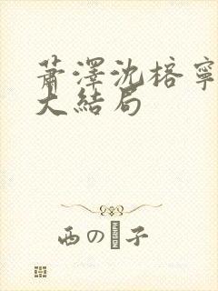 萧泽沈榕宁结局大结局