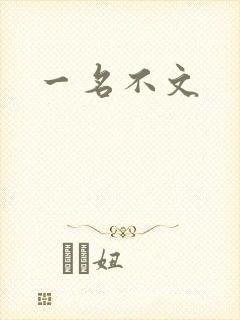 一名不文封面