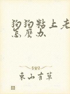 狗狗粘上老鼠胶怎么办