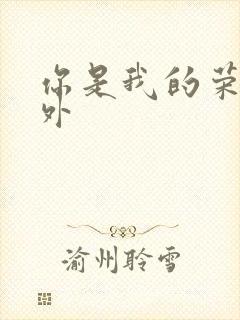 你是我的荣耀番外