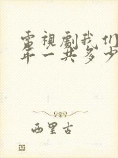 电视剧我们这十年一共多少集封面