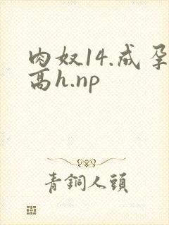 肉奴14.成孕高h.np封面