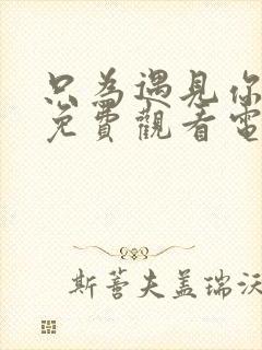 只为遇见你全集免费观看电视剧雷电网