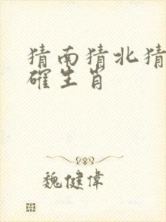 猜南猜北猜最准确生肖