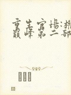 重生官场:权势巅峰第二部