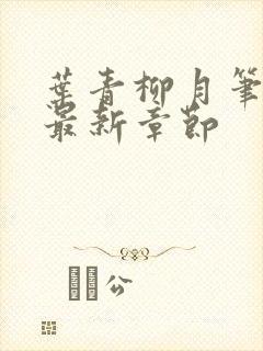 叶青柳月笔趣阁最新章节